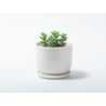 Photo of KINTO PLANT POT 193 110mm ( ) [ KINTO ] [ Plant Pots ]