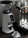 Photo of FIORENZATO AllGround Coffee Grinder (120V) ( ) [ Fiorenzato ] [ Electric Grinders ]