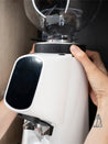 Photo of FIORENZATO AllGround Coffee Grinder (120V) ( ) [ Fiorenzato ] [ Electric Grinders ]