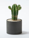 Photo of KINTO PLANT POT 191 (⌀135mm/5.4in) ( ) [ KINTO ] [ Plant Pots ]